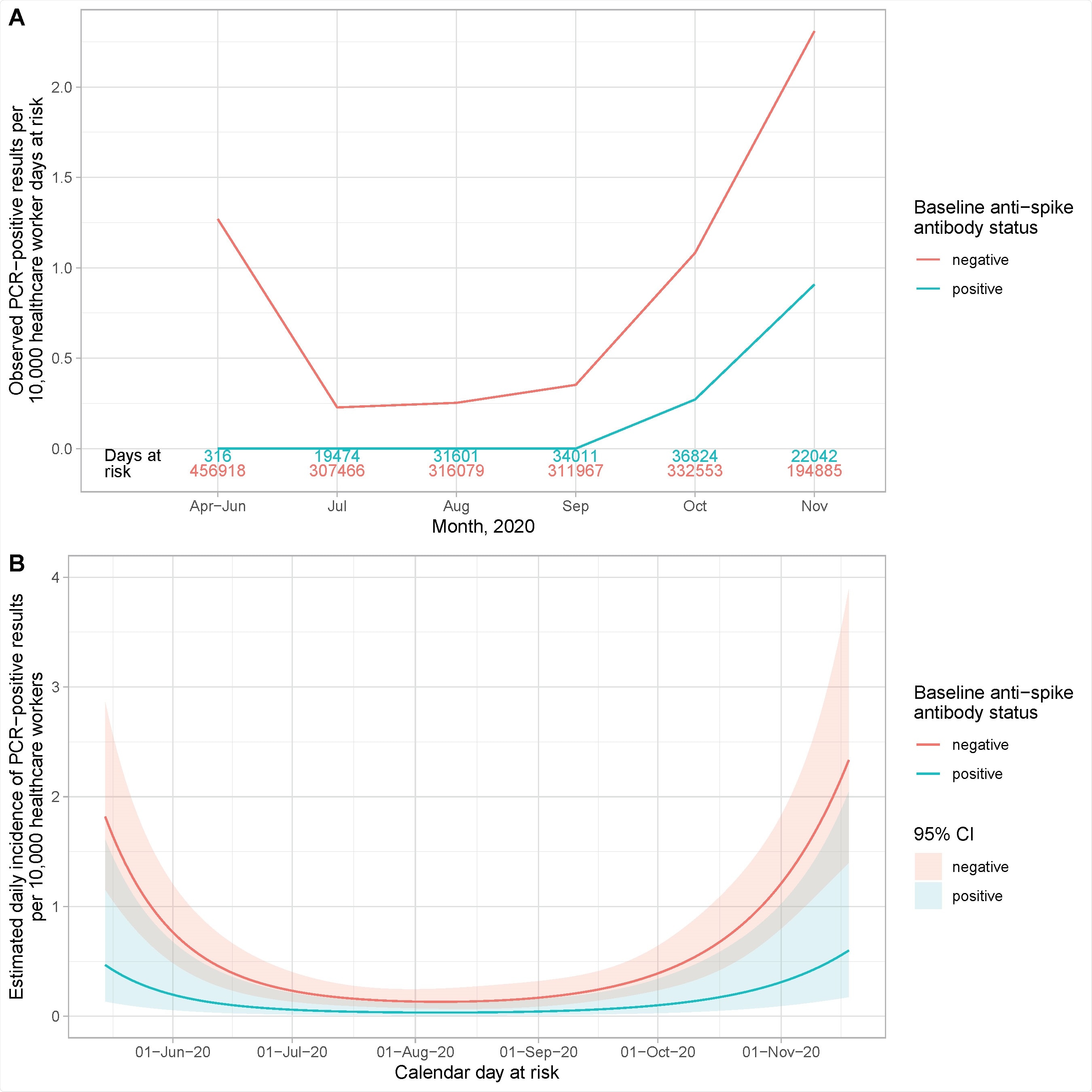 Observed and estimated incidence of SARS-CoV-2 positive PCR results by baseline anti-spike IgG antibody status. Panel A shows the observed cases per 10,000 HCW days at risk. The cases in seronegative staff are shown in red and seropositive staff in blue. The total number of HCW days at risk by month are shown in red and blue text above the x axis. Panel B shows the estimated daily incidence of SARS-CoV-2 positive PCR results per 10,000 HCW days at risk, by baseline antibody status (95% confidence intervals are indicated by the coloured ribbons). The Poisson regression model is adjusted for age (using a 5 knot spline, similar to Supplementary Figure S2), gender and calendar time fitted as continuous, using a 5 knot natural cubic spline with default knot positions.