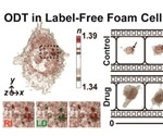 Tomocube’s HT-2 microscope quantifies therapeutic effects of targeted nanodrugs against atherosclerosis