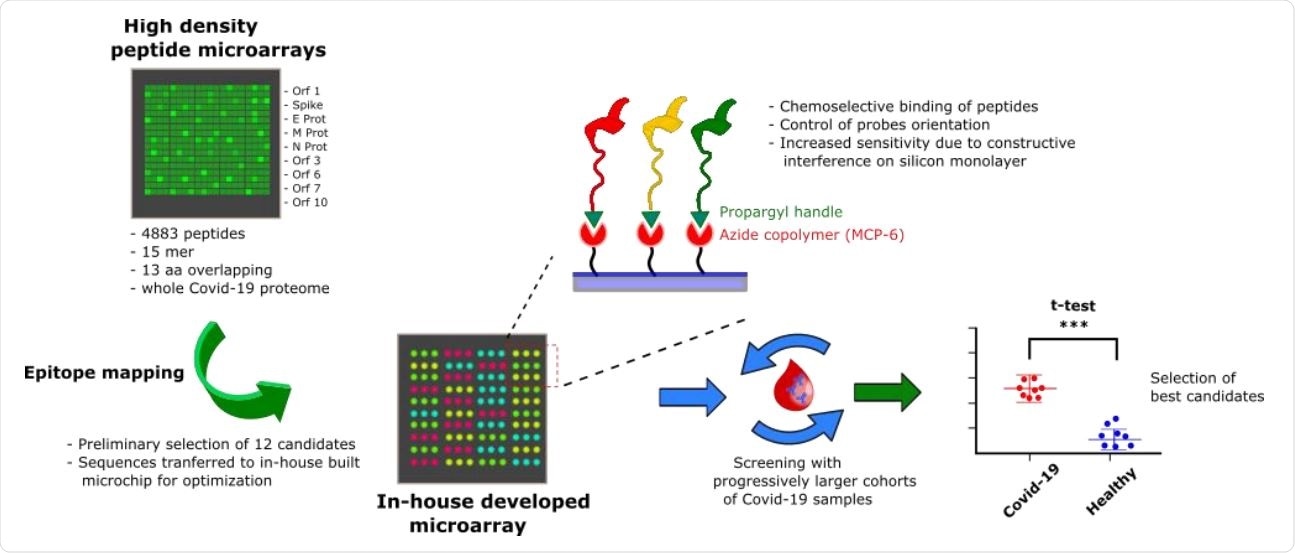 Overview of the probe selection workflow. A high-density peptide microarray displaying the whole SARS-CoV-2 proteome was probed for immunoreactivity with COVID-19 serum samples leading to the selection of 12 peptide hits. The most promising candidates were then transferred to a low-density microarray platform for site-selective and oriented peptide immobilization and validated with progressively larger and independent cohorts of patients to select the most sensitive and specific immunoreactive peptide probes.