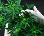 Novel cannabis plant extracts could protect against COVID-19