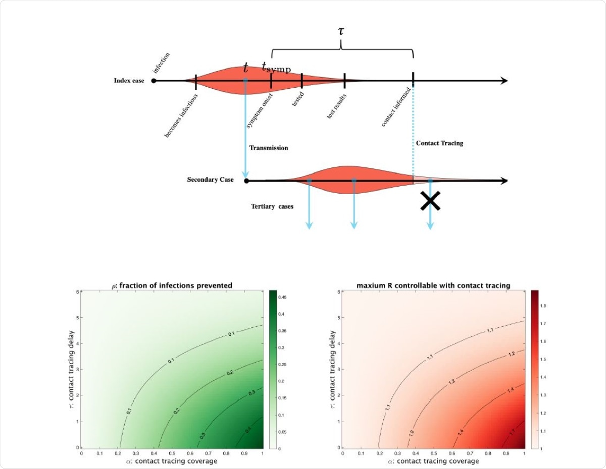 Contact tracing of an index case eliminates infections from a secondary case only after contact and self-isolation occur (blue dashed line).