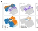 Reverse phenotyping shows reactive T cell profiles in SARS-CoV-2 infection