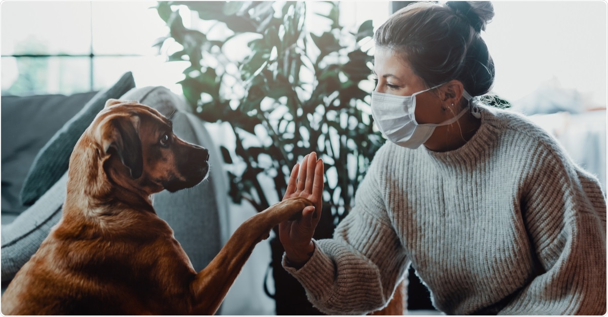Study: Natural SARS-CoV-2 infections, including virus isolation, among serially tested cats and dogs in households with confirmed human COVID-19 cases in Texas, USA. Image Credit: MT-R / Shutterstock