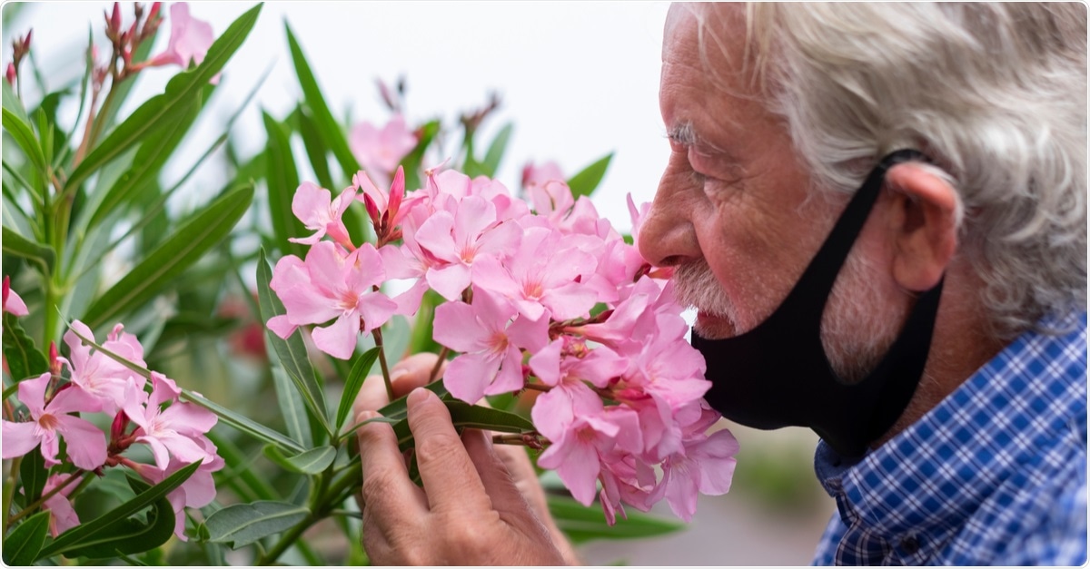 Study: Altered Smell and Taste: anosmia, parosmia and the long impact of Covid-19. Image Credit: Lucigerma / Shutterstock