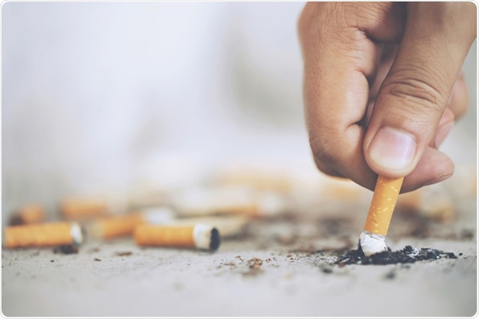 Image Credit: Fongbeerredhot / Shutterstock