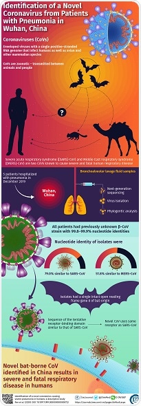 Study identifies new CoV responsible for the Wuhan outbreak