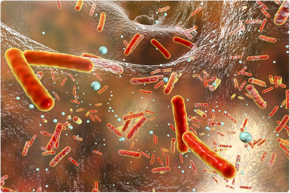 Antibiotic resistant bacteria in the body