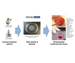 New 3D bioprinting technologies to create cardiovascular tissue