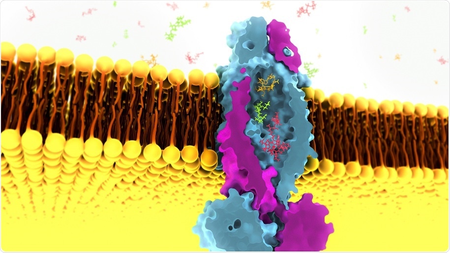 SLAC structural biologist discovers a strange cavity in key tuberculosis protein