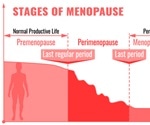 What Should I Eat During Menopause?