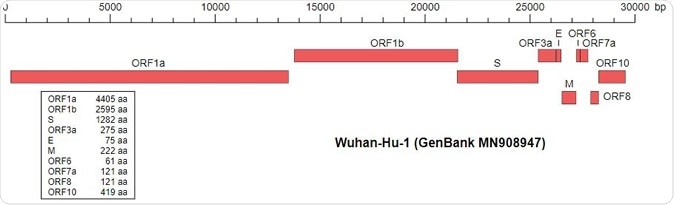 Wu,F., Zhao,S., Yu,B., Chen,Y.-M., Wang,W., Hu,Y., Song,Z.-G., Tao,Z.-W., Tian,J.-H., Pei,Y.-Y., Yuan,M.L., Zhang,Y.-L., Dai,F.-H., Liu,Y., Wang,Q.-M., Zheng,J.-J., Xu,L., Holmes,E.C. and Zhang,Y.-Z. A novel coronavirus associated with a respiratory disease in Wuhan of Hubei province, China. Accession MN908947.