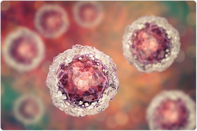 Stem cells, 3D illustration. Image Credit: Kateryna Kon / Shutterstock