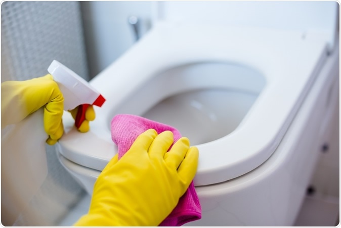 Image Credit: Daniel Jedzura / Shutterstock