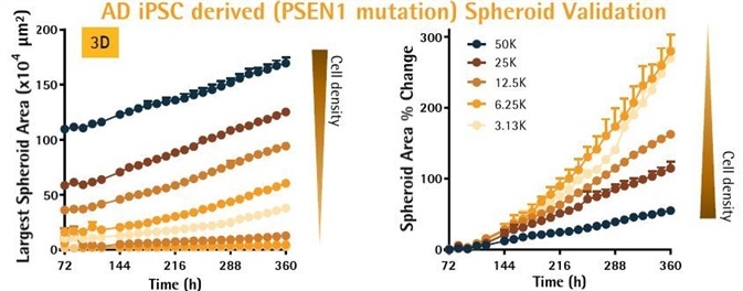 Neuronal and Microglial Analysis for Alzheimer’s Disease Models
