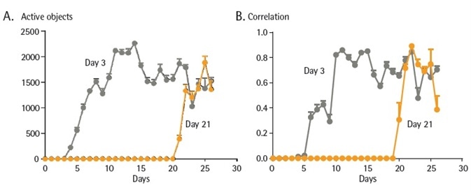 Long term expression of NeuroBurst Orange GECI does not alter neuronal activity. iCell GlutaNeurons were seeded at 30K cells/well with a co-culture of primary rat astrocytes seeded at 15K cells/well on 96- well culture plates. Neurons were infected with NeuroBurst Orange reagent at either day 3 or 21 following plating. Active object number (A) and mean correlation (B) was monitored and analyzed over a period of 27 days. Data points represent Mean ± SEM.