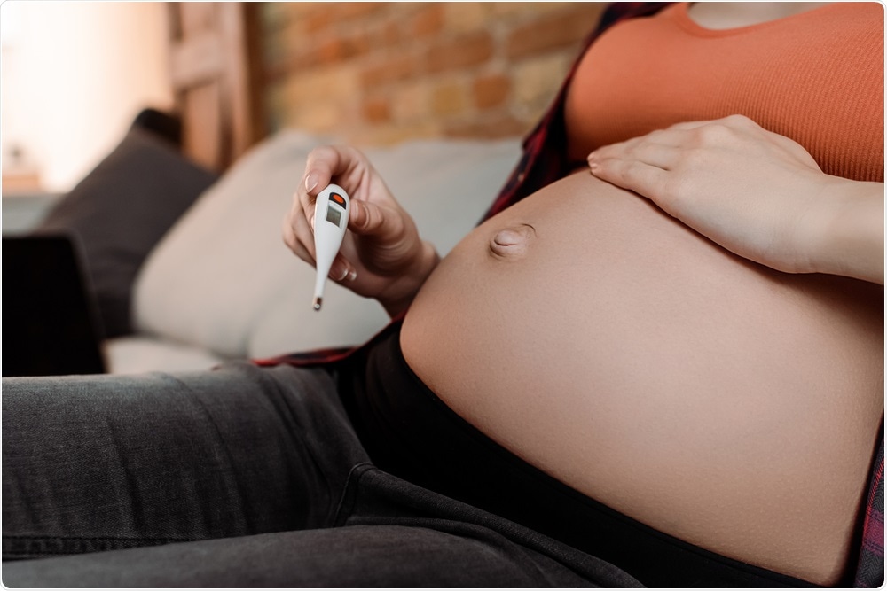 Image Credit: LightField Studios / Shutterstock