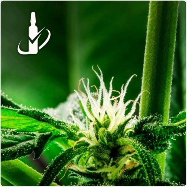 Advance your analysis of cannabis with Restek’s new Cannabidivarinic Acid (CBDVA) standard