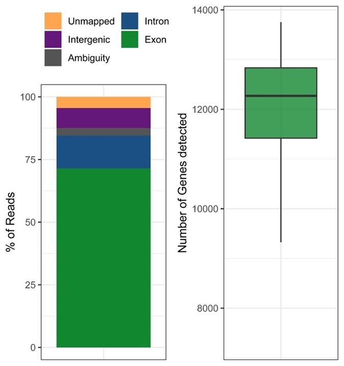 Quality statistics of an exemplary Smart-seq3 experiment. HEK293T cells were processed in a 384-well plate and sequenced to an average depth of 1.8 million reads per cell