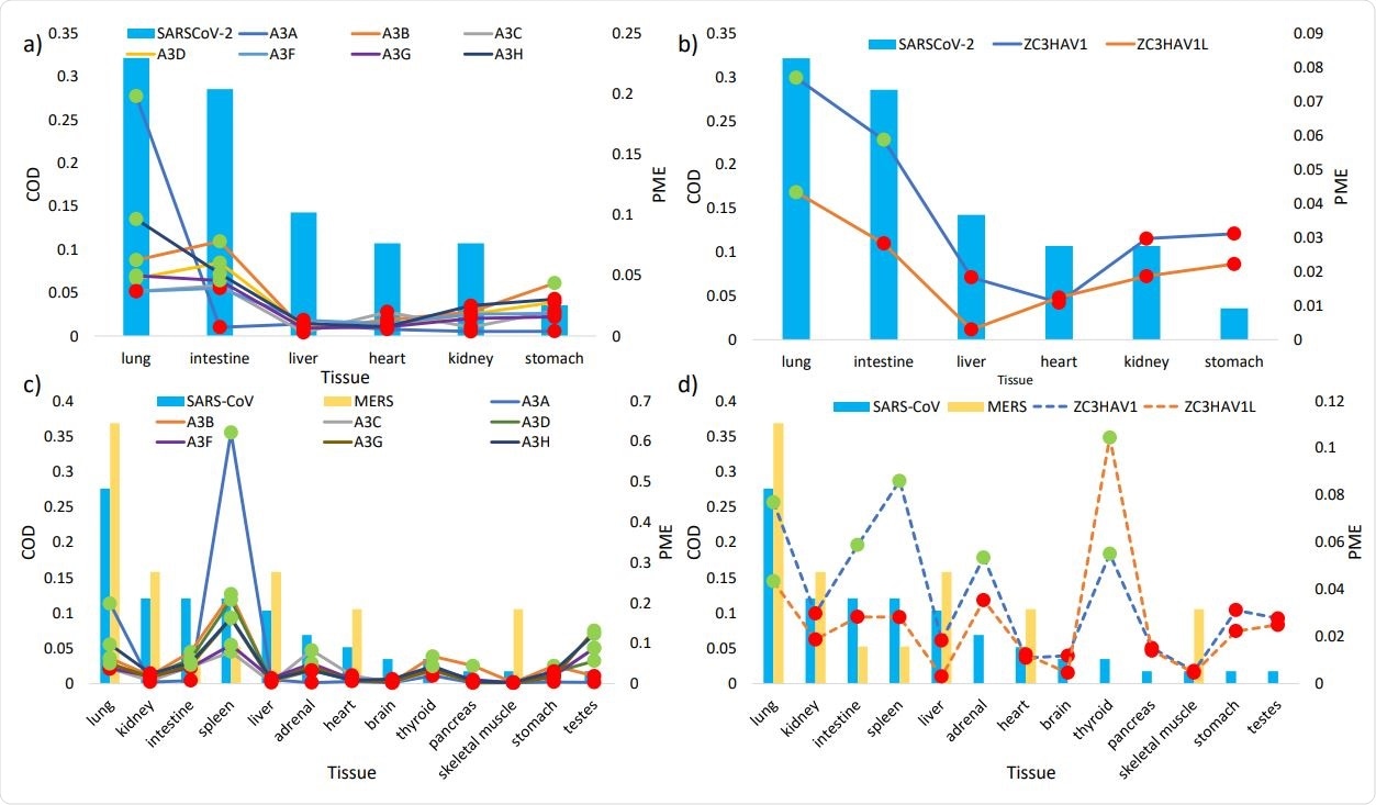 The histograms show the regular tissue habitats (as measured in commonness of detection COD, on primary Y axis) of SARS307 CoV-2 (a, b) and of SARS-CoV and MERS (c, d). The lines represent the relative mRNA expression (in proportions of mRNA expression PME, on secondary Y axis) of a) APOBEC3 isoforms (solid lines) and b) ZAP isoforms (dash lines) in tissues susceptible to SARS-CoV-2 infection, and the PME of c) APOBEC3 isoforms (solid lines) and d) ZAP isoforms (dashed lines) in tissues susceptible to SARS-CoV and MERS infections. Highlighted in green and red are PME values that are greater and lower than the averaged PME values, respectively. PME values were calculated based on averaged mRNA FPKMs retrieved from the GTEx Portal (LONSDALE et al. 2013).