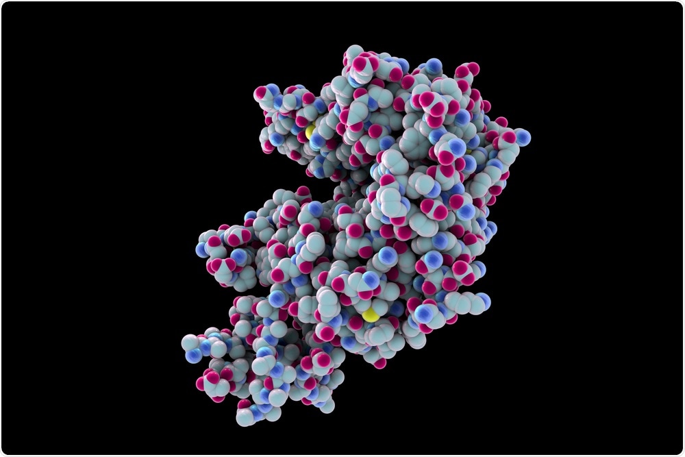 Human ACE2 receptor, 3D illustration. Image Credit: Kateryna Kon / Shutterstock