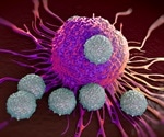 What are T Cells?