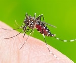 China reports Dengue fever after bubonic plague threat