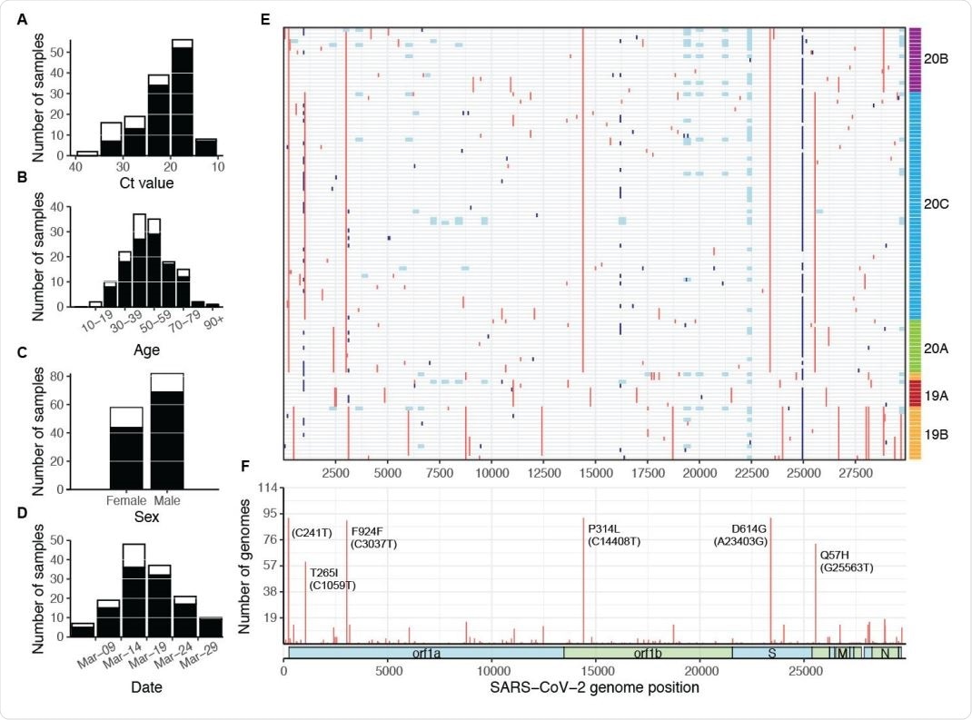 SARS-CoV-2 samples selected for whole genome sequencing. Distribution of (A) CT value, (B) age, (C) sex, and (D) collection date for specimens selected for whole genome sequencing (white bars), and specimens that produced complete genomes (black bars). Only specimens with known values are included in each plot. (E) Mutations across the SARS-CoV-2 genome in all 114 complete genomes (rows), binned into 60-nucleotide windows. Red = single nucleotide variant, light blue = base masked as N due to amplicon dropout; dark blue = ambiguous base (N) due to variant-calling issues in homopolymer regions. Rows are clustered by Hamming distance between sequences and colored by phylogenetic clades (19A-20C, see Fig 3). (F) Count of complete genomes (out of 114) with a variant at each site. Key clade-defining mutations are labeled.