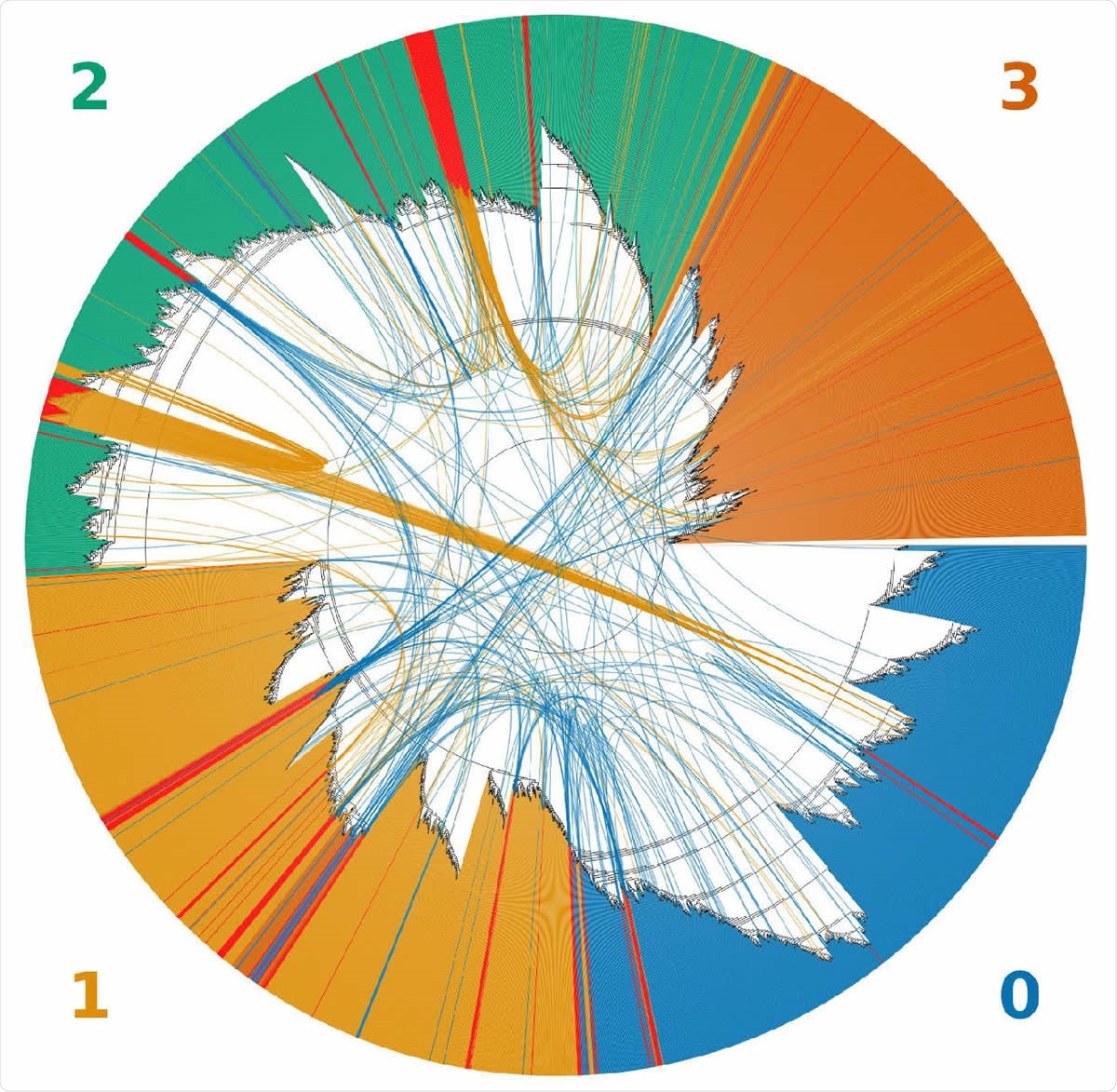 An unrooted topological cladogram of 4,249 SARS-CoV-2 genomes including 225 recombinants labeled as red bars. Arcs link each recombinant to both inferred parental genomes. The color of the arc corresponds to the color of the clade to which a recombinant was clustered within the tree. Clades correspond to the GISAID clades GR (0), GH (1), G (2) and all minor lineages combined (4).