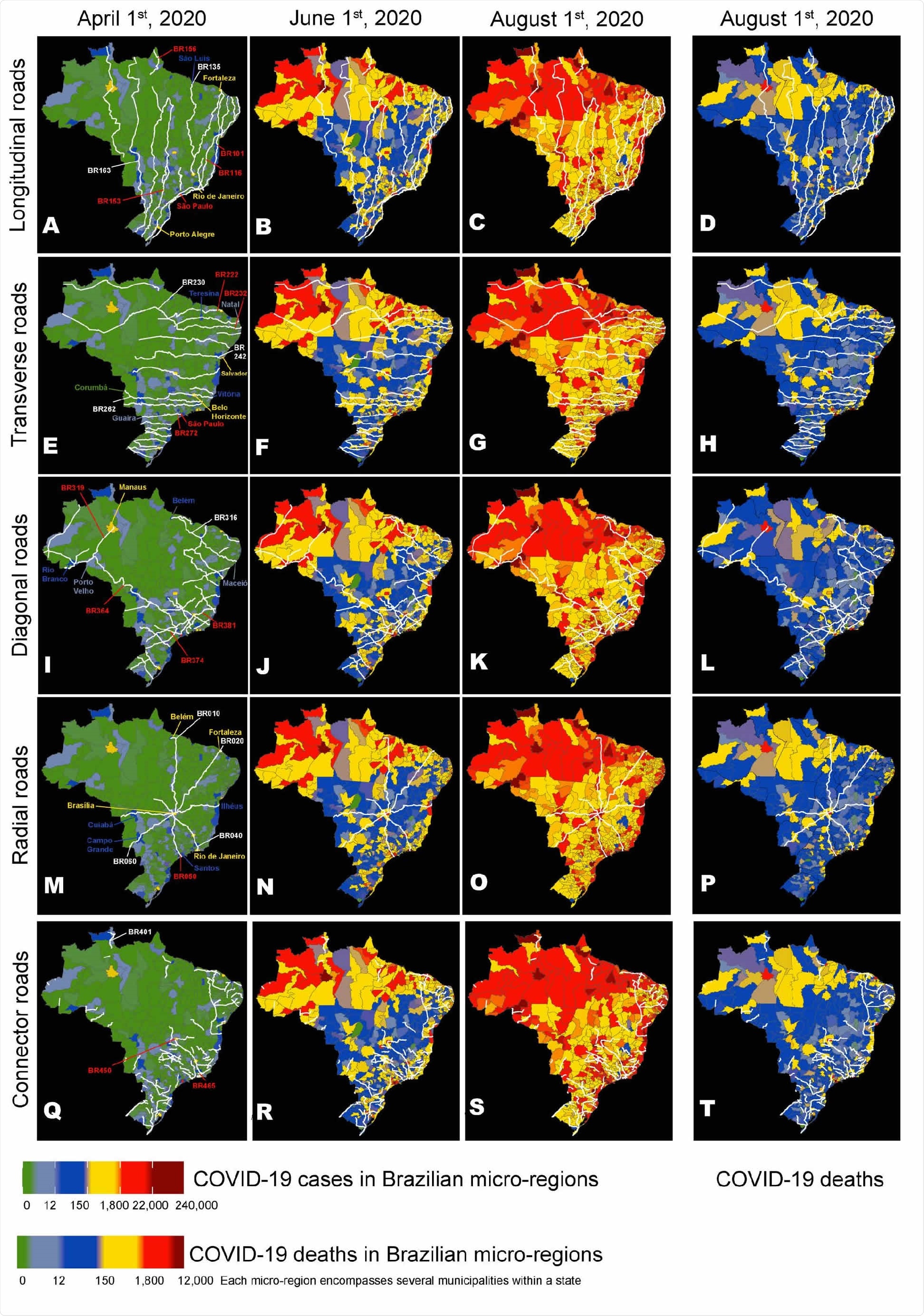 Maps of Brazil were used to represent the routes of the main longitudinal (AD), transversal (E- H), diagonal (I-L), radial (M-P), and connector (Q-T) federal highways, as well as the evolution of the geographic distribution of COVID-19 cases on three dates (April 1st, June 1st, and August 1st), and the distribution of COVID-19 deaths on August 1st (D). Overall, a group of 26 highways (see text) from all five road categories contributed to approximately 30% of the COVID-19 case spreading throughout Brazil. The numbers of some of these spreading highways are highlighted in red. Notice how many hotspots (red color) for COVID-19 cases occur in micro-regions containing cities that are located along major highway routes like BRs 101, 116, 222, 232, 236, 272, 364, 374, 381, 010, 050, 060, 450, and 465. Although the distributions for COVID-19 cases and deaths were correlated, geographic discrepancies between the two distributions can be clearly seen by comparing them on August 1st (C and D). A color code (See Figure bottom) ranks Brazilian micro-regions (each comprising several tows) according to their number of COVID-19 cases and deaths.
