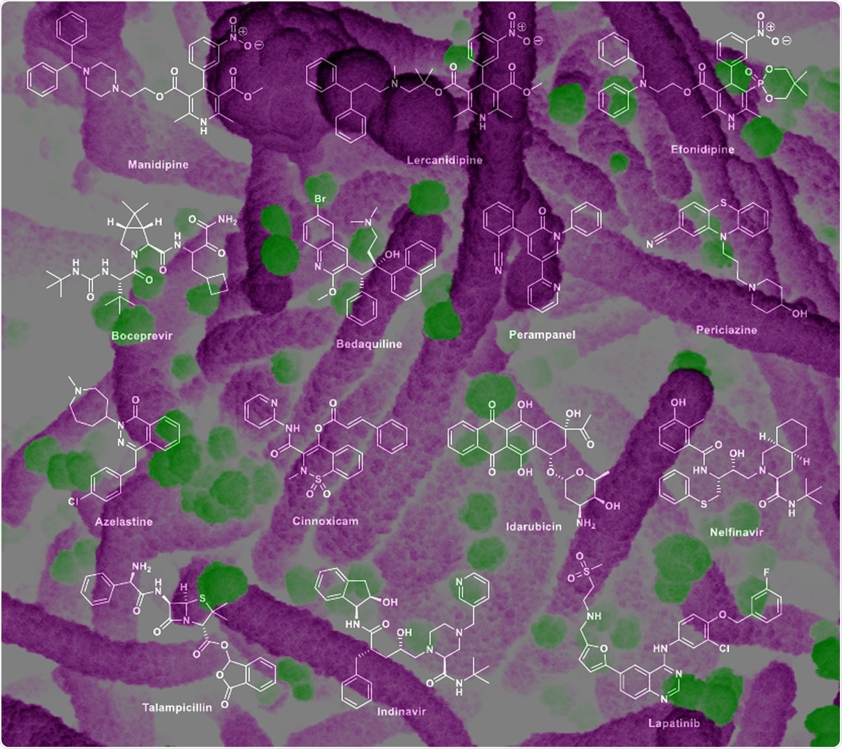 Selected high-scoring compounds from the consensus docking.
