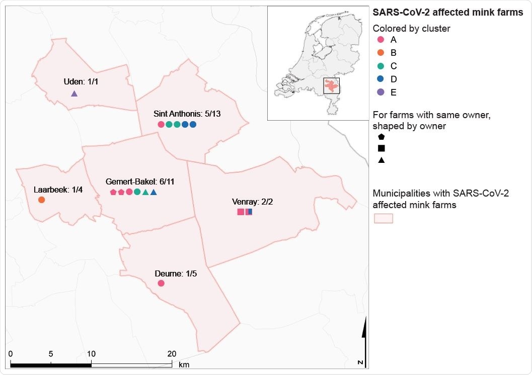 Geographical overview of SARS-CoV-2 positive mink farms per municipality affected. The proportion of SARS-CoV-2 positive mink farms over the total number of mink farms (CBS, 2019) is indicated. Symbols for positive farms are colored by cluster and shapes indicate farms with a same owner.