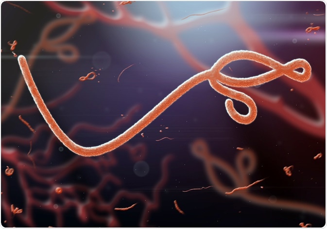 Ebola Virus