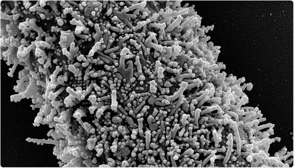 Study: Ad26.COV2.S-elicited immunity protects against G614 spike variant SARS-CoV-2 infection in Syrian hamsters and does not enhance respiratory disease in challenged animals with breakthrough infection after sub-optimal vaccine dosing. Image Credit: NIAID