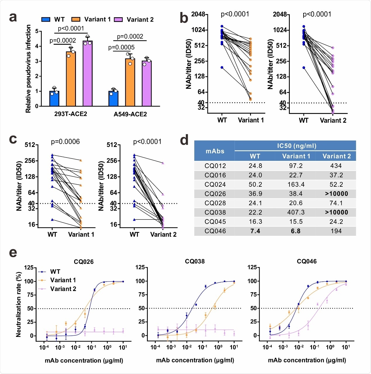 Neutralizing activities of convalescent sera and monoclonal antibodies against SARS-CoV-2 variants. a Infectivity of WT and variant pseudovirus conducted in 293T-ACE2 and A549-ACE2 cells. Cells were inoculated with equivalent doses of each pseudotyped virus. WT, wild-type Spike (GenBank: 213 QHD43416) pesudotyped virus; Variant 1, N501Y.V1 mutant Spike pesudotyped virus (containing H60/V70 deletion, Y144 deletion, N501Y, 215 A570D, D614G, P681H, T716I, S982A, D1118H); Variant 2, N501Y.V2 mutant Spike pesudotyped virus (containing K417N, E484K, N501Y, D614G). b-c Neutralization of WT and variant pesueoviruses by convalescent sera. Pseudovirus-based neutralizing assay were performed to detect neutralizing antibody (NAb) titers against SARS-CoV-2. The thresholds of detection were 1:40 of ID50. Twenty sera (indicated by circles) were drawn 5 to 33 days post-symptom onset (b); 20 sera (indicated by triangles) were drawn ~ 8 months post-symptom onset (c). d-e The half-maximal inhibitory concentrations (IC50) for tested monoclonal antibodies (mAbs) against pseudoviruses (d) and representative neutralization curves (e). Statistical significance was determined by One-way ANOVA.