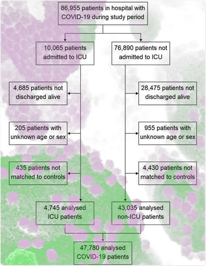 Study population flow diagram