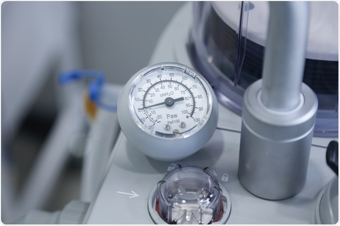 Image Credit: photos_adil / Shutterstock