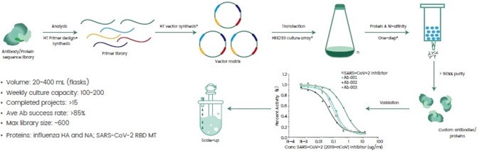General work-flow of the high-throughput antibody/protein expression platform.