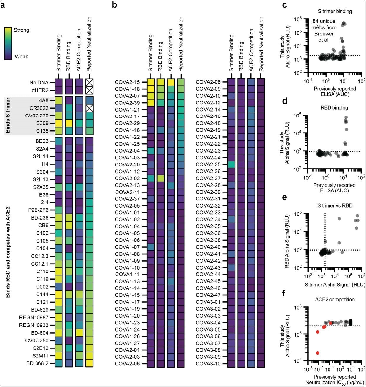 Performance of the cell-free antibody screening workflow evaluated on SARS-CoV-2 neutralizing antibodies. a-f, AlphaLISA data are presented as the mean of 3 independent replicates. A dashed line indicates three standard deviations away from the background signal. a-b, Heatmap of the binding of previously published antibodies measured using AlphaLISA to detect S trimer binding (log10 scaled), RBD binding (log10 scaled), and ACE2 competition (linearly scaled). AlphaLISA data are presented as the mean of 3 independent replicates. The lowest reported neutralization IC50 value is also plotted for comparison (log10 scaled) and an X indicates no relevant data available (Supplementary Table 2). a Heatmap of the binding of 36 diverse antibodies. b, Heatmap of the binding of all 84 antibodies in the Brouwer et al. data set. c-d, Parity plots comparing the AlphaLISA the 84 antibodies in the Brouwer et al. data set vs the published ELISA data. A dashed line indicates three standard deviations away from the background. c, S trimer binding. d, RBD binding. e, Comparison of the S trimer and RBD AlphaLISA binding data. f, Parity plot comparing the AlphaLISA ACE2 competition data for the 84 antibodies in the Brouwer et al. data set vs the published pseudovirus neutralization data. Antibodies that were reported to compete with ACE2 by Brouwer et al. are plotted in red.