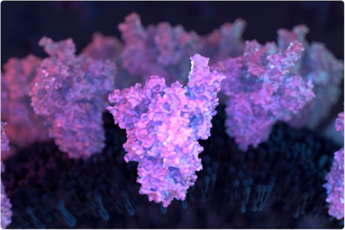 Study: Nanometer-resolution in situ structure of the SARS-CoV-2 postfusion spike protein. Image Credit: Design_Cells/ Shutterstock