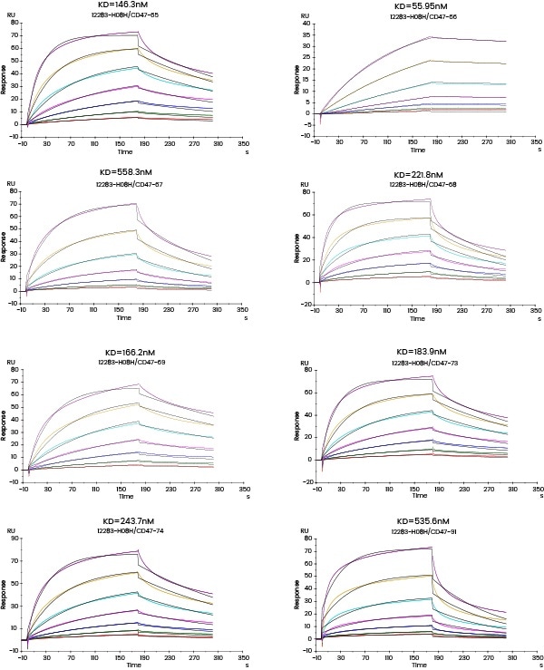 Kinetic screening of candidate molecules against the targets (Biacore data)