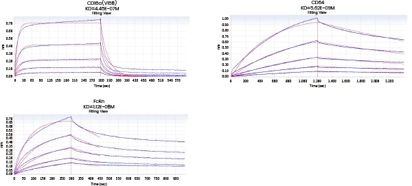 Affinity detection of target antibody drugs against Fc receptors (Octet data)