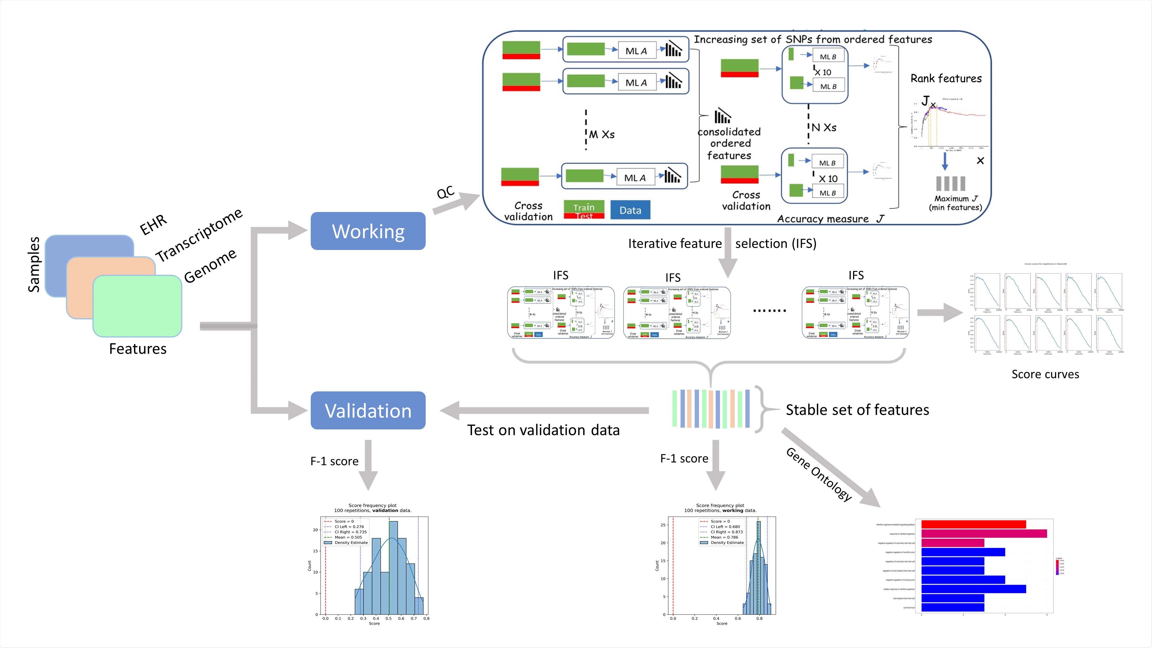 Components of RubricOE, as ensemble ML pipeline extracting stable features from multi-omics data.