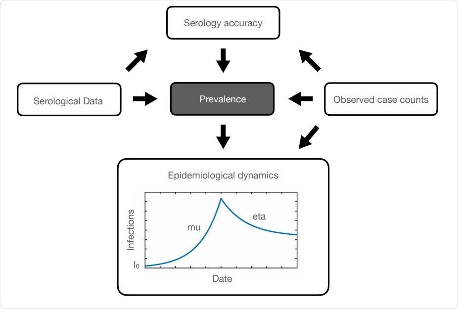 Plate diagram (Koller and Friedman, 2009) indicating the acyclic graph governing the relationships among variables in our model. Arrows indicate conditional dependencies, according to equations in the Methods Section. For epidemiological dynamics, we assume that the number of active cases increases exponentially with rate µ and then decreases according to exponential decay with rate η following the introduction of NPI measures. I0 is the number of initial cases among the population. This schematic represents antibody prevalence during a rise and then a fall of the pandemic over a single Phase. (For example, Phase 1 of the pandemic in B.C. from the end of January until the end of May.)