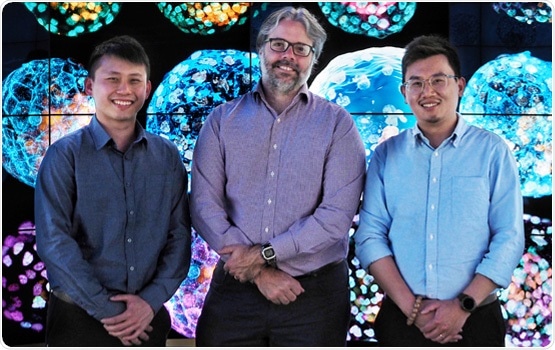 First model of early human embryo generated from skin cells