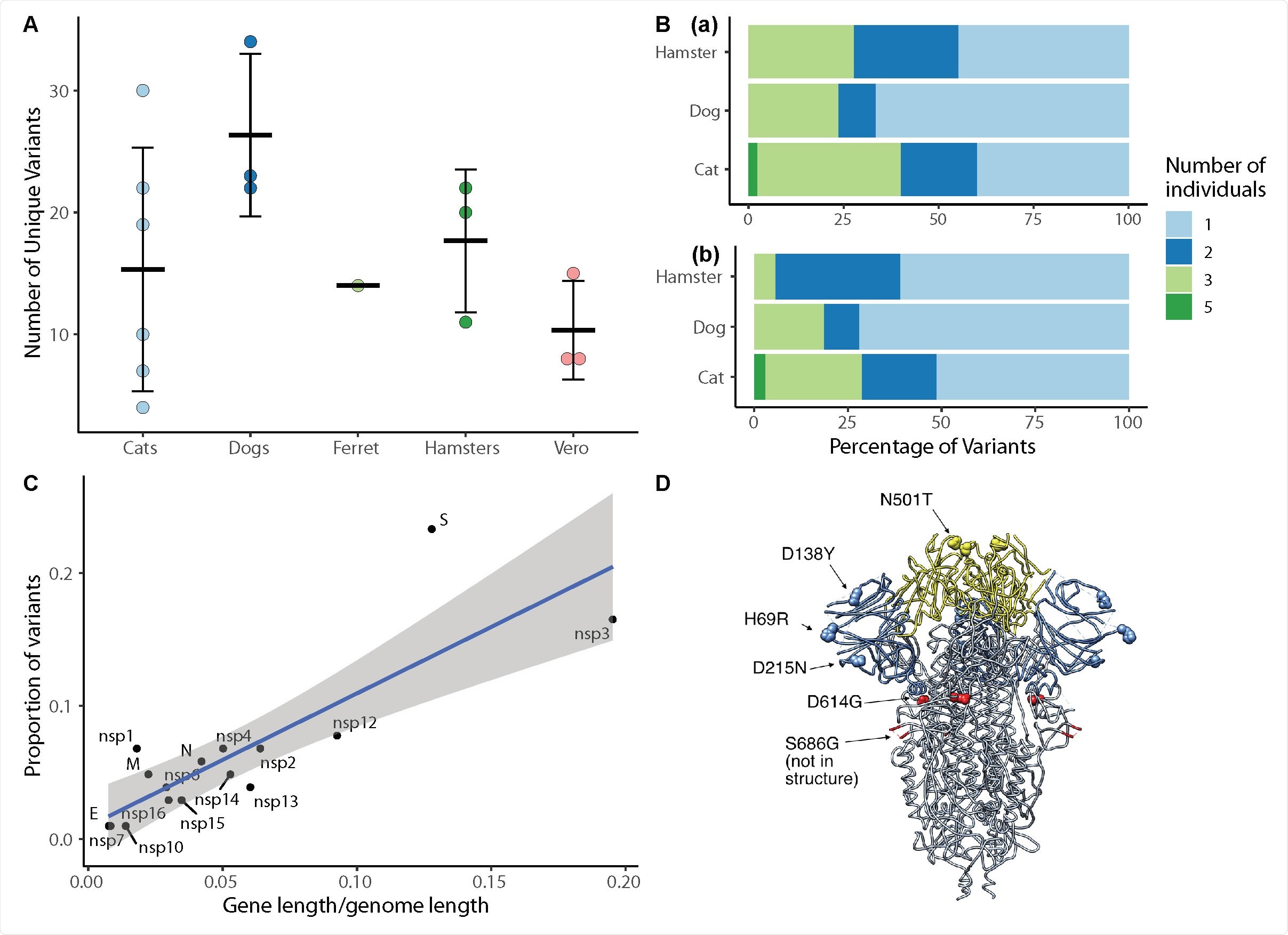 SARS-CoV-2 viral evolution differs across species, gene regions, and individuals. (A) Each point indicates the number of unique variants detected at ≥ 3% frequency in SARS-CoV-2 genomes recovered from individual animals. There is no significant difference in the number of unique variants detected in different species (ANOVA,