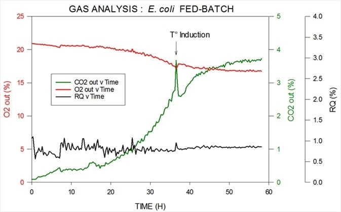 Off-gas and RQ data generated by MS from E. coli fed-batch fermentation.