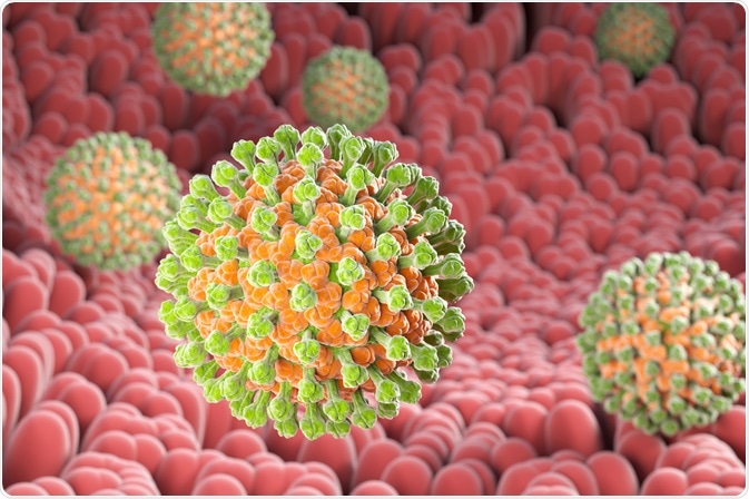 Image Credit: Tatiana Shepeleva / Shutterstock