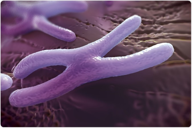 A 3D rendering of a chromosome. Image Credit: royaltystockphoto.com / Shutterstock