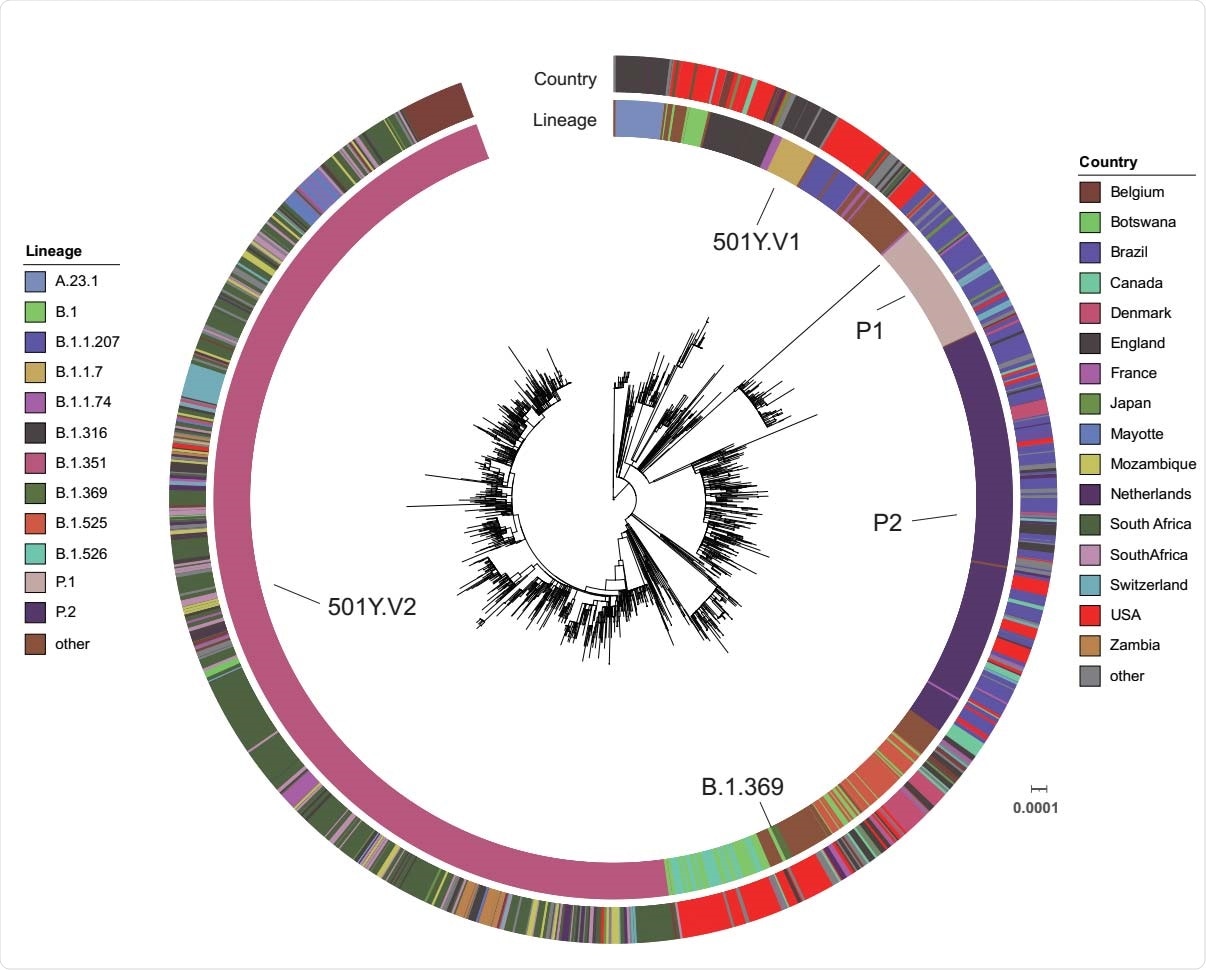 Fig 2. Global distribution of S protein E484K mutation. A maximum-likelihood phylogenetic tree with the 4 patient sequences (B.1.369) and 1,983 selected SARS-CoV-2 genomes from the GISAID database (date as 2/12/2021) is annotated using iTOL (https://itol.embl.de/). The scale represents 0.0001 nucleotide substitutions per site. The SARS-CoV-2 Pangolin lineage and country are illustrated as two outer rings in different colors.