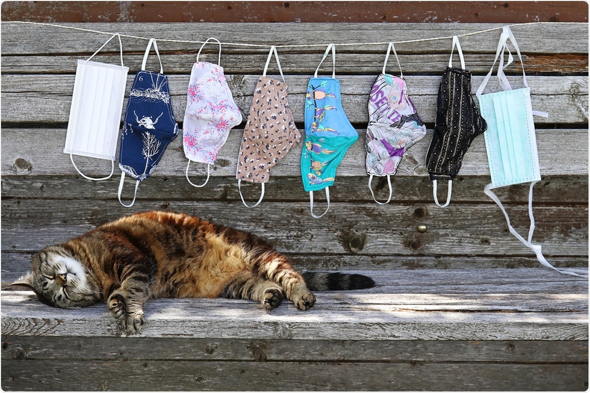 Study: One Health Investigation of SARS-CoV-2 Infection and Seropositivity among Pets in Households with Confirmed Human COVID-19 Cases — Utah and Wisconsin, 2020. Image Credit: Astrid Gast / Shutterstock